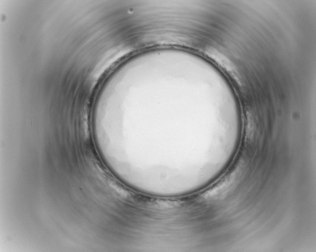 X0000088640782200706151941