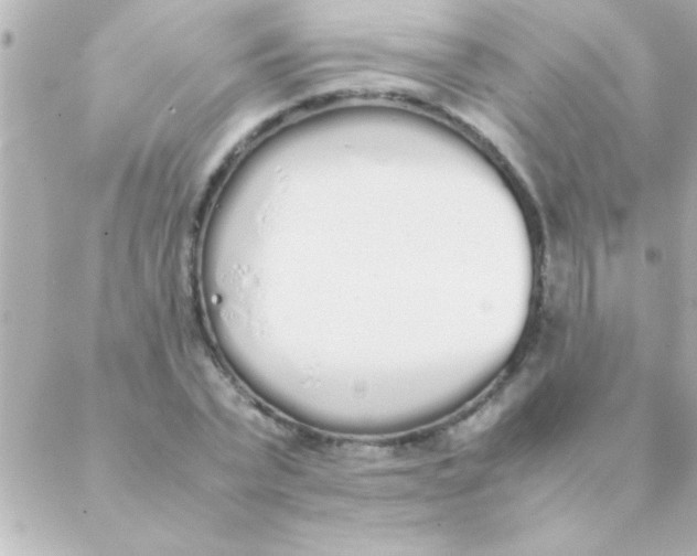 X0000088640783200706151941