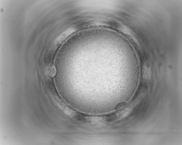 X0000088640785200706151941