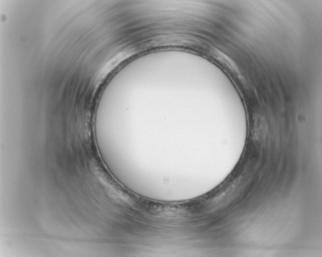 X0000088640786200706151941