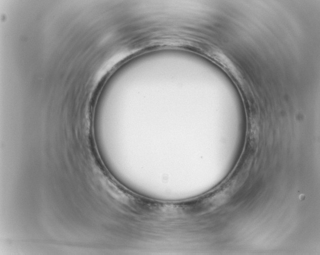 X0000088640787200706151941