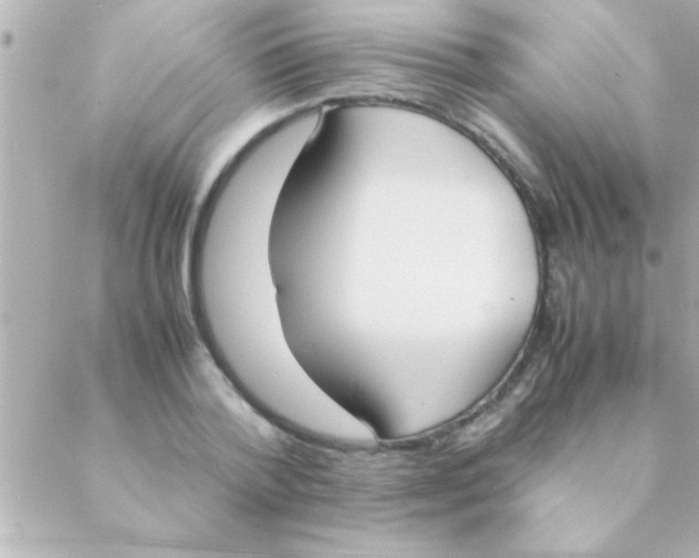 X0000088640788200706151941