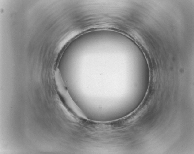 X0000088640789200706151941