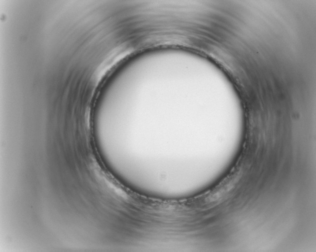 X0000088640790200706151941