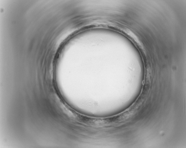 X0000088640791200706151941