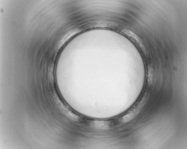 X0000088640794200706151941