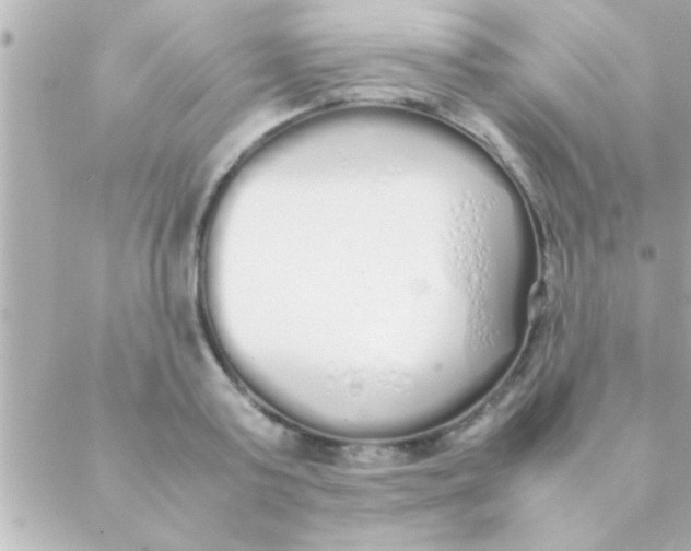 X0000088640795200706151941