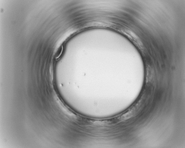 X0000088640796200706151941