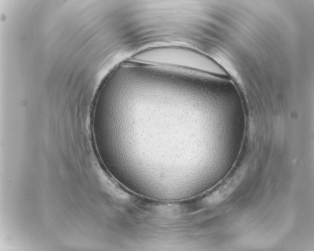 X0000088640797200706151941