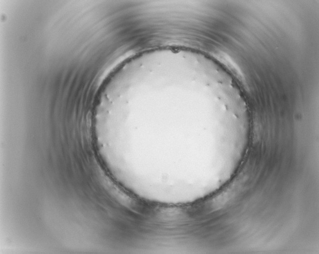 X0000088640798200706151941