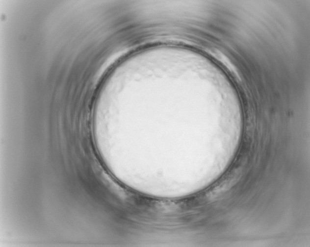 X0000088640799200706151941