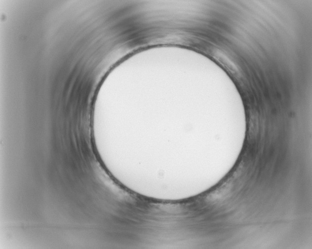 X0000088640800200706151941