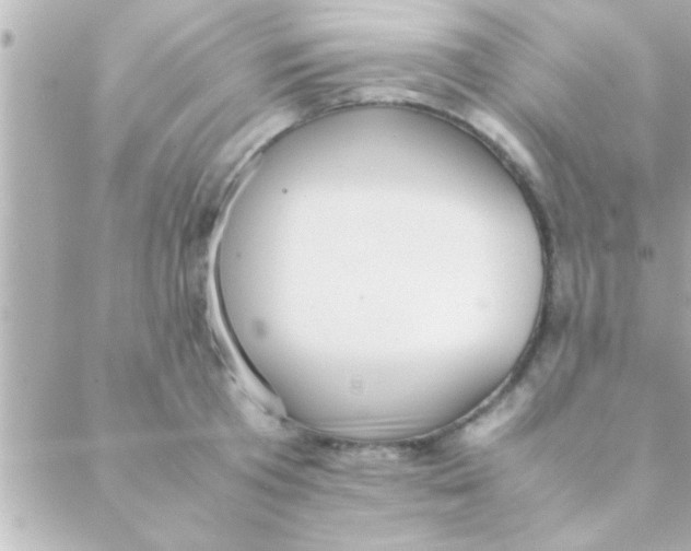 X0000088640801200706151941