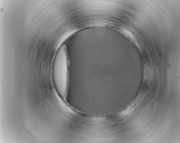 X0000088640802200706151941