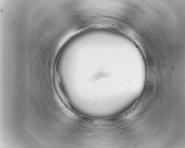 X0000088640803200706151941