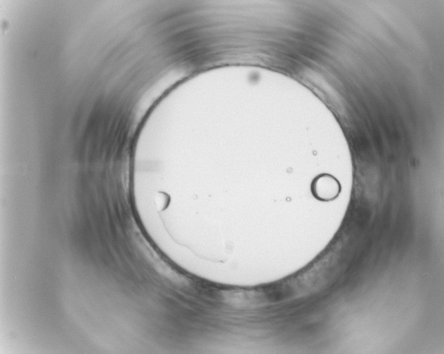 X0000088640804200706151941