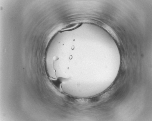 X0000088640805200706151941