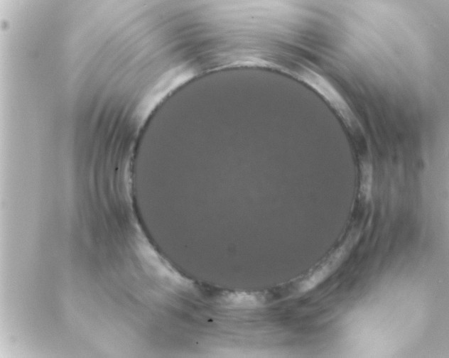 X0000088640806200706151941