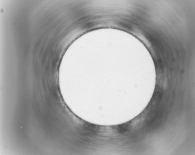 X0000088640807200706151941