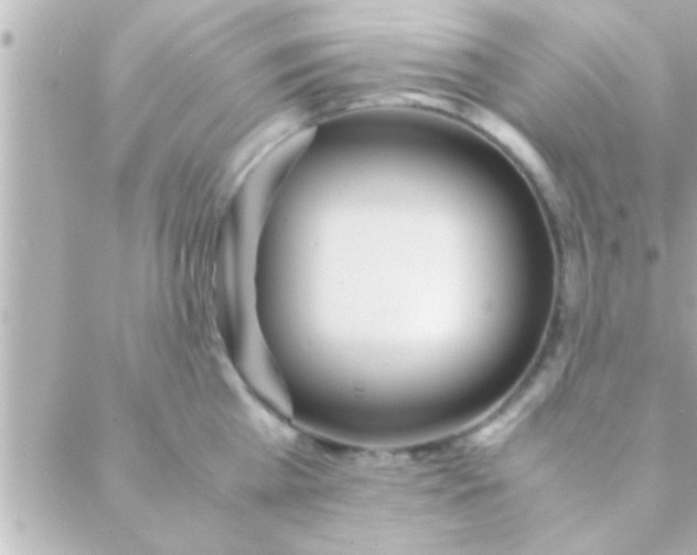 X0000088640809200706151941