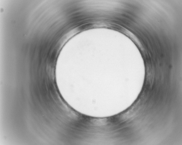 X0000088640810200706151941