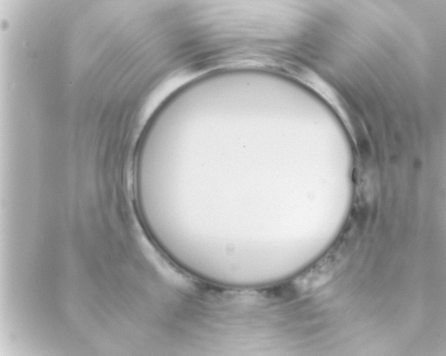 X0000088640811200706151941