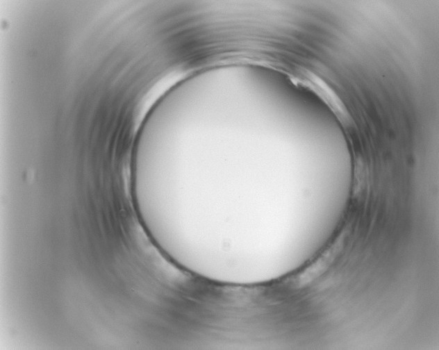 X0000088640812200706151941