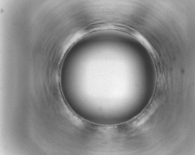 X0000088640813200706151941