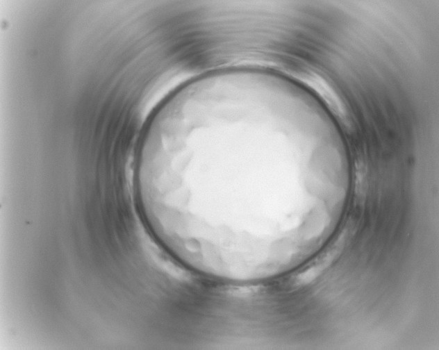 X0000088640814200706151941