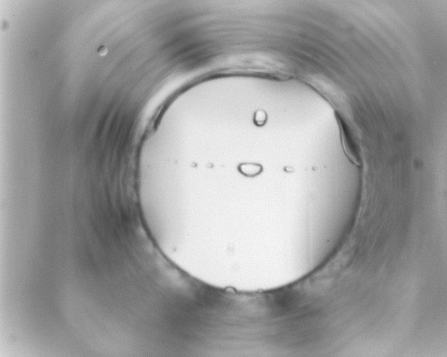 X0000088640816200706151941