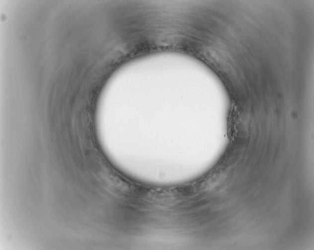 X0000088640817200706151940