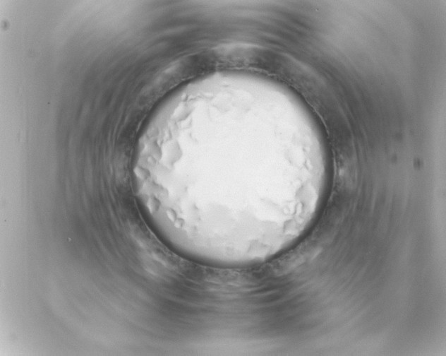 X0000088640819200706151940