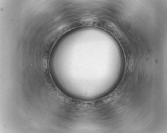 X0000088640821200706151940