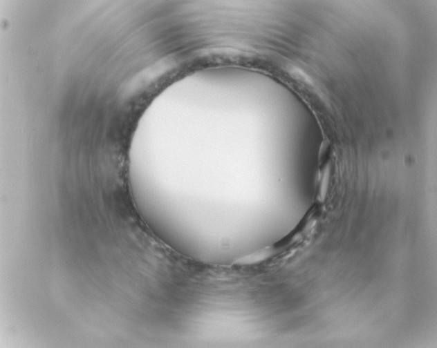 X0000088640822200706151940