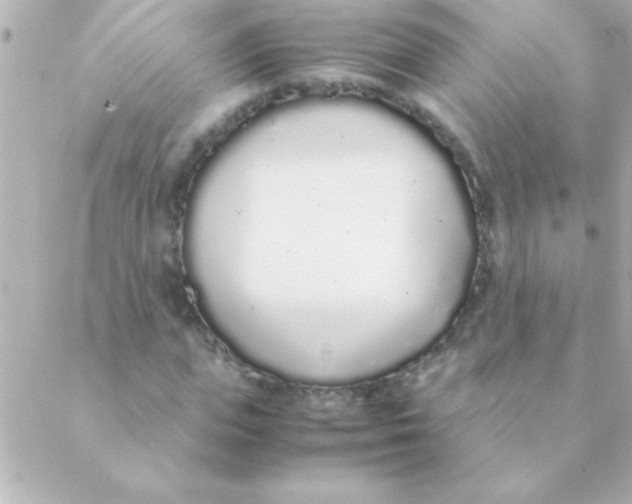 X0000088640823200706151940