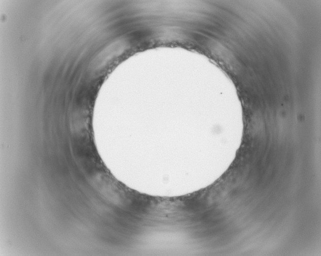 X0000088640824200706151940