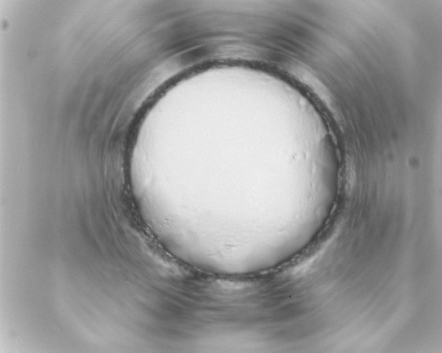 X0000088640829200706151940