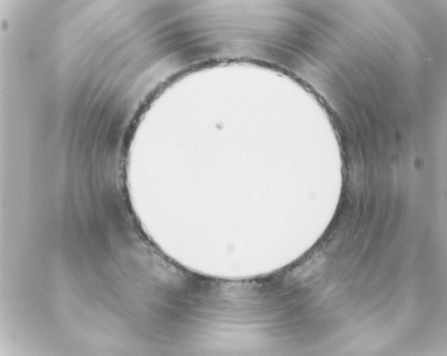 X0000088640832200706151940