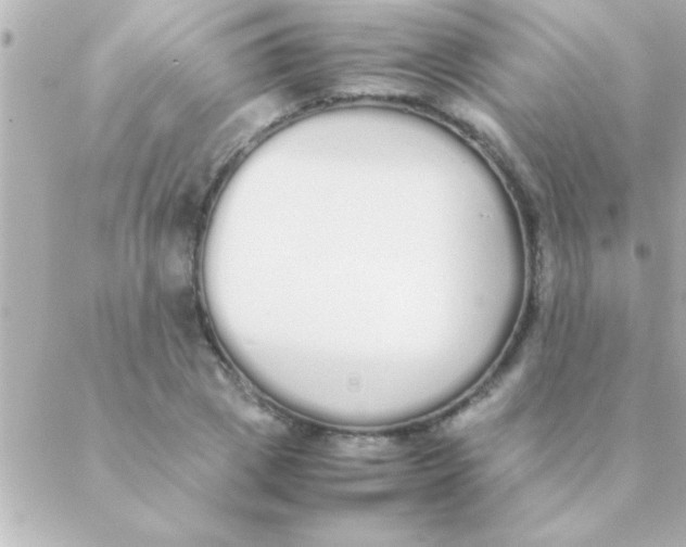 X0000088640833200706151940