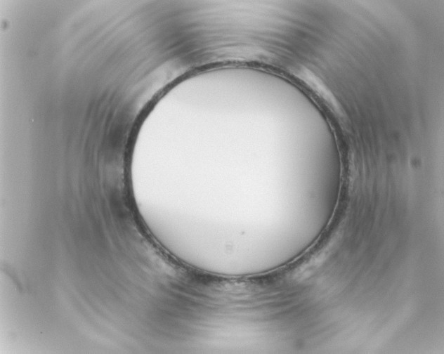 X0000088640834200706151940