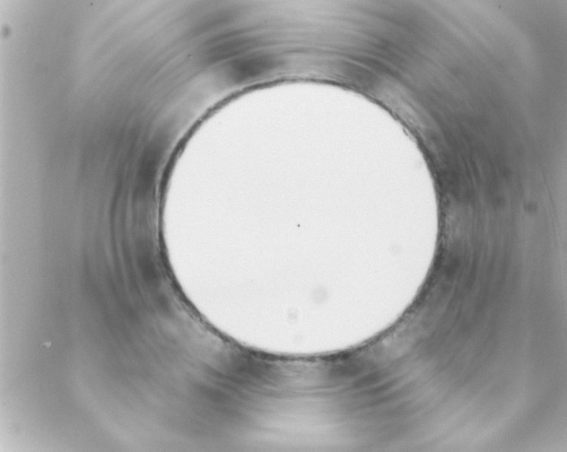 X0000088640836200706151940