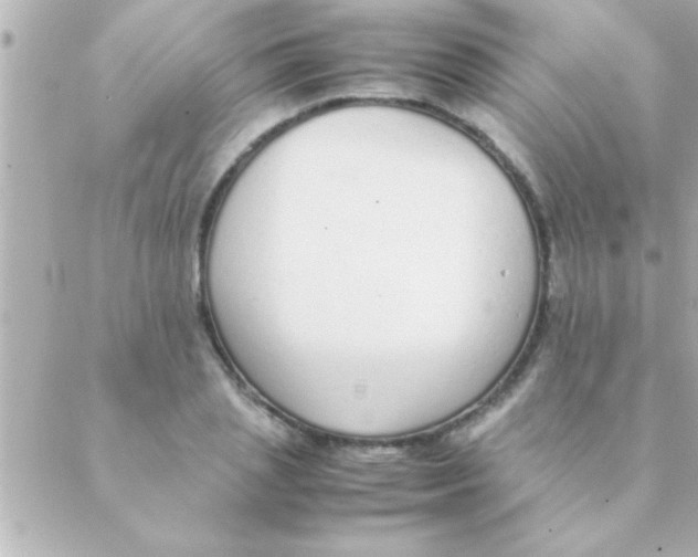 X0000088640837200706151940