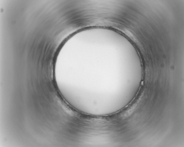 X0000088640838200706151940