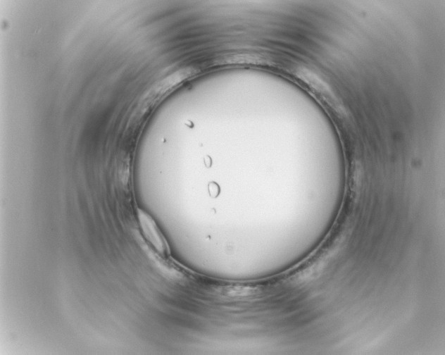 X0000088640841200706151940