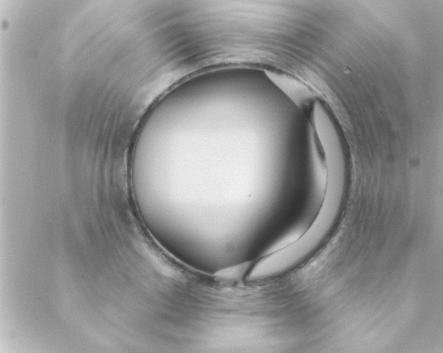 X0000088640842200706151940