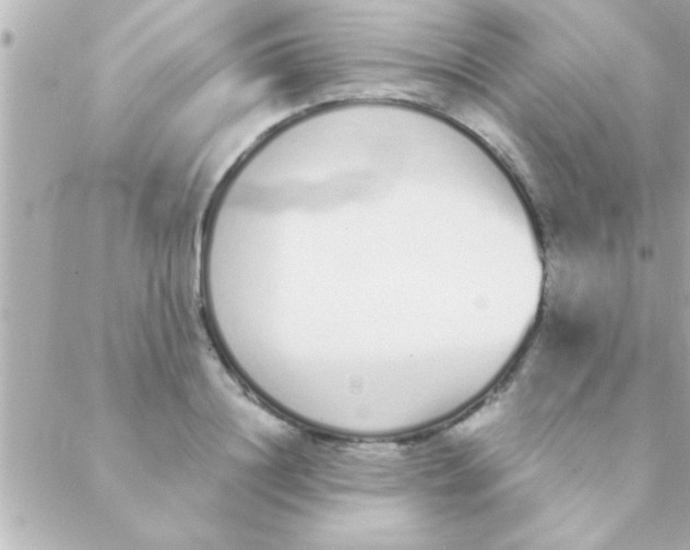 X0000088640844200706151940