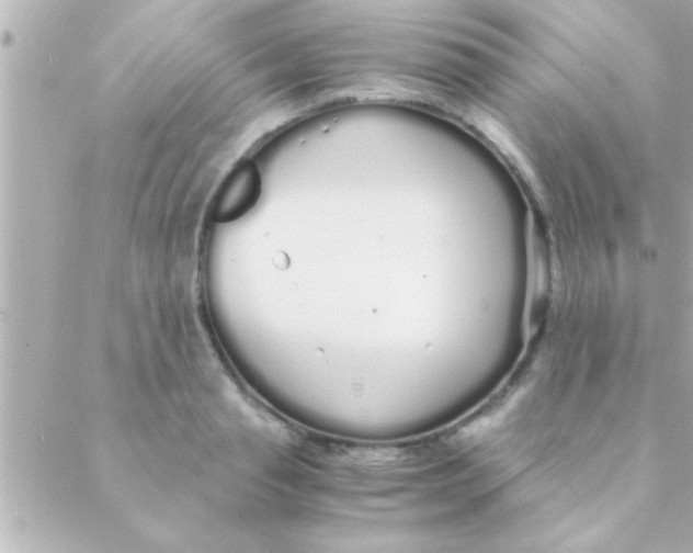 X0000088640845200706151940