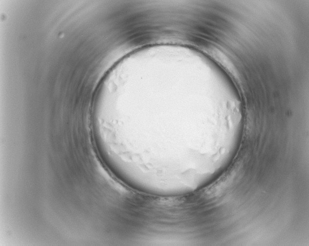 X0000088640847200706151940