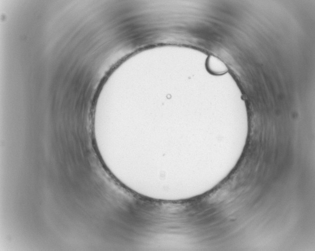 X0000088640848200706151940