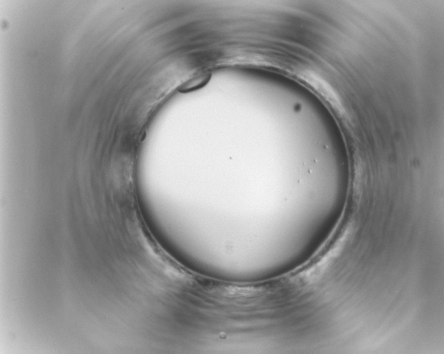 X0000088640849200706151940